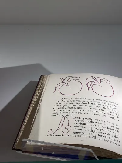 Fenêtre avec des pommes