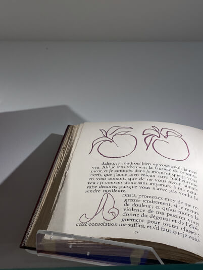 Fenêtre avec des pommes